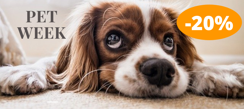 Imagen de Pet Week con Balearia